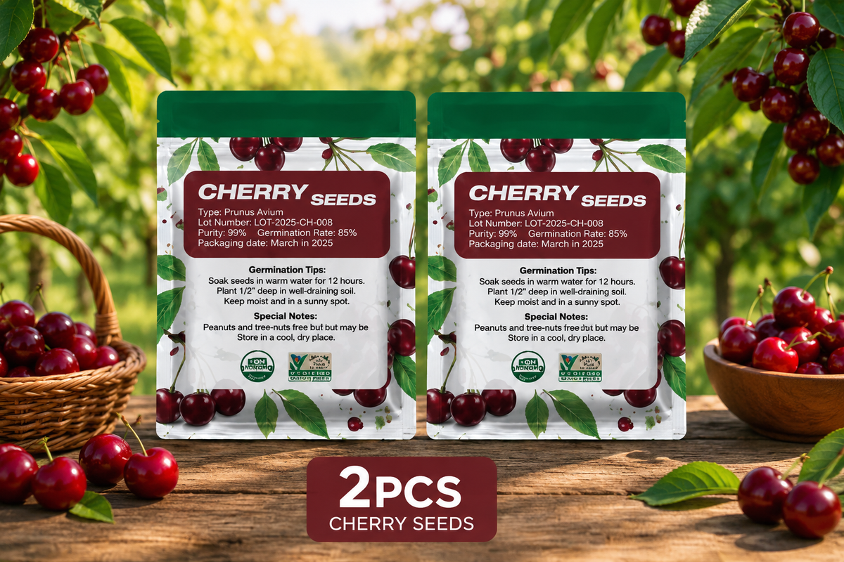Grow Your Own Sweet Cherry Tree — Premium Live Seeds